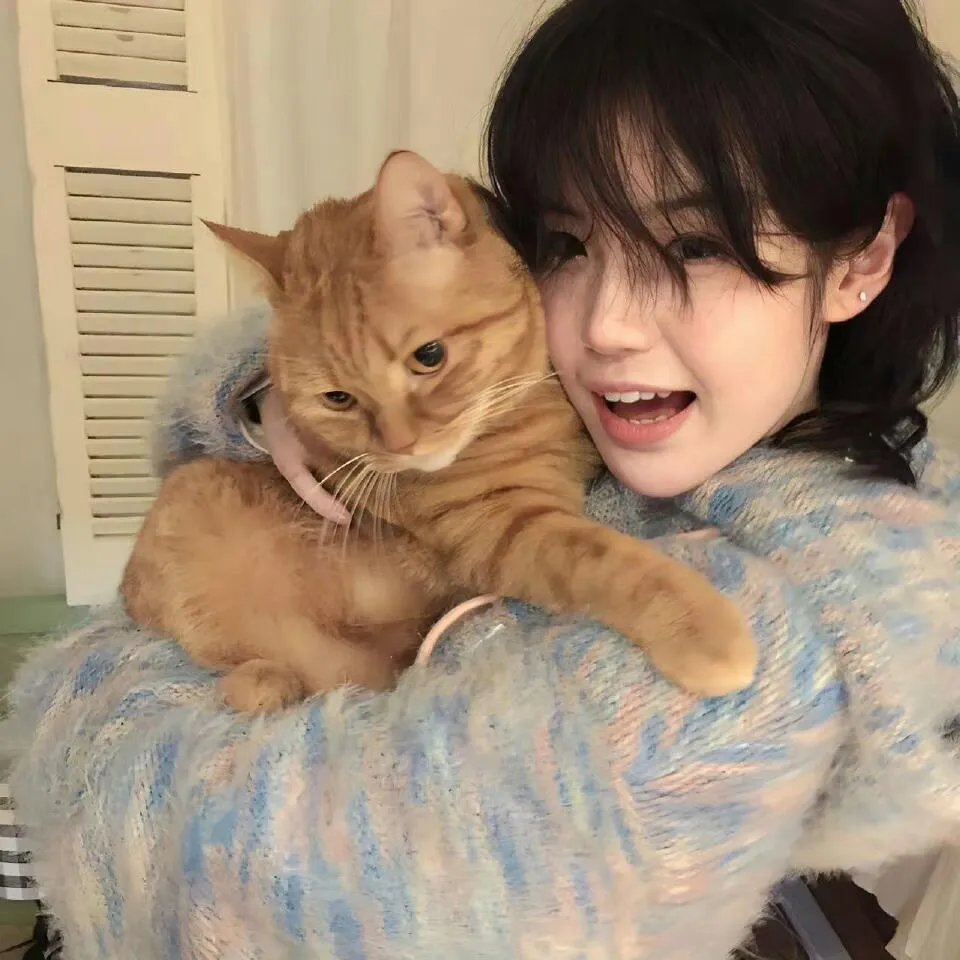 倚天屠龙记 下部