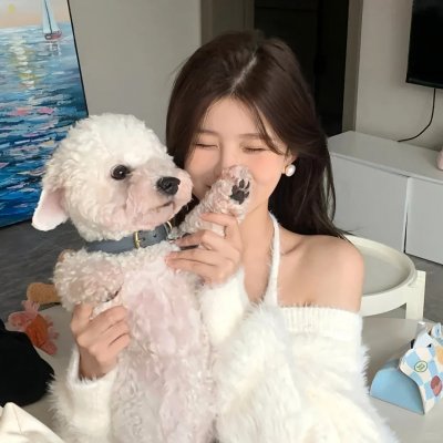 小老鼠历险记